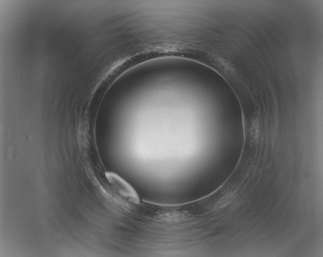 X0000060770540200511101216