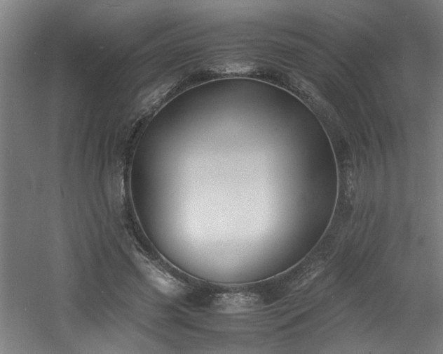 X0000060770541200511101217