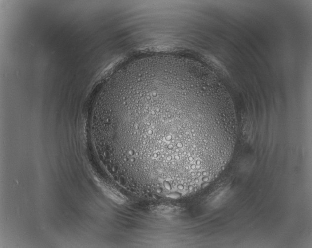 X0000060770542200511101217