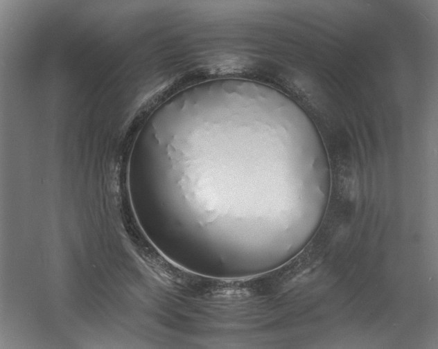 X0000060770543200511101217