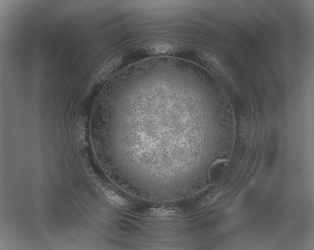 X0000060770545200511101217