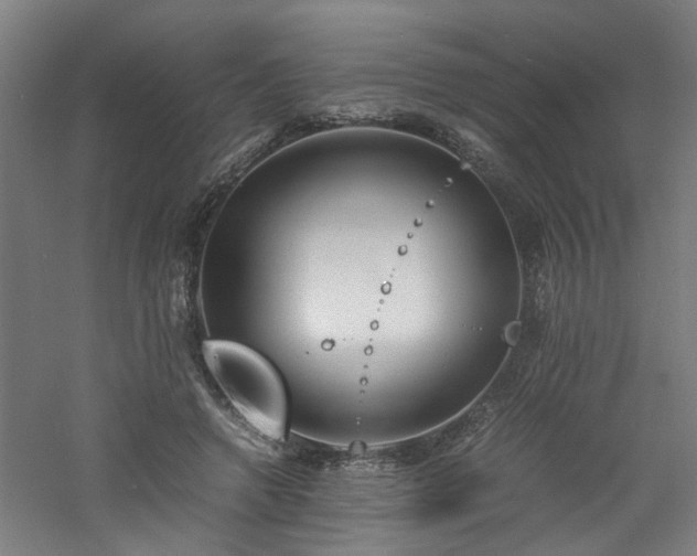 X0000060770546200511101217