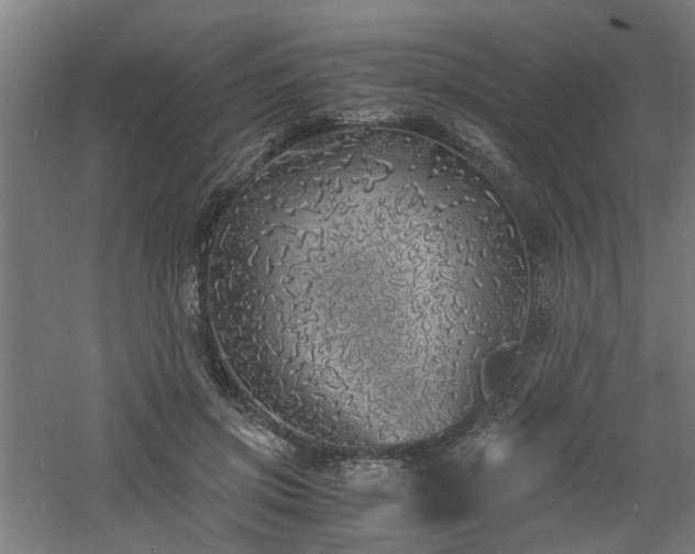 X0000060770549200511101217