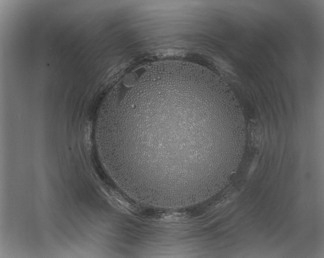 X0000060770550200511101217