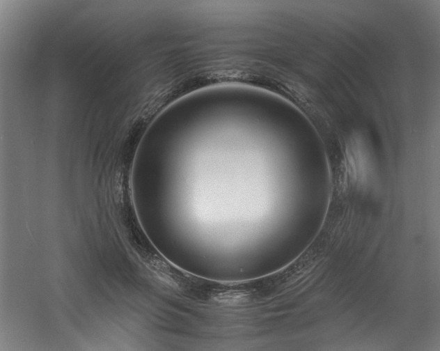 X0000060770551200511101217