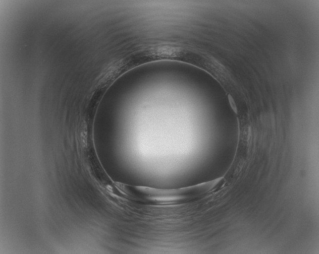 X0000060770552200511101217