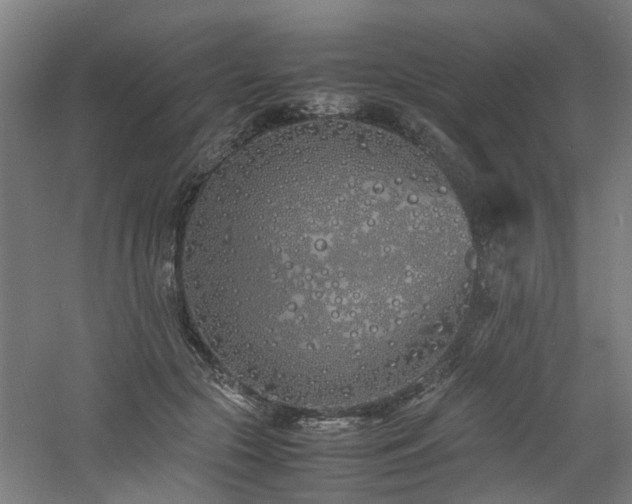 X0000060770553200511101217