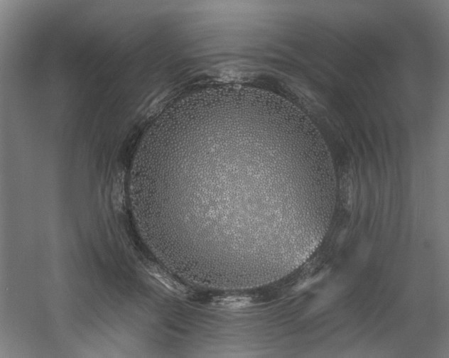 X0000060770554200511101217