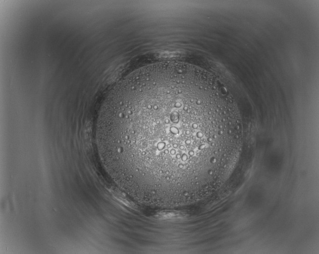 X0000060770557200511101217