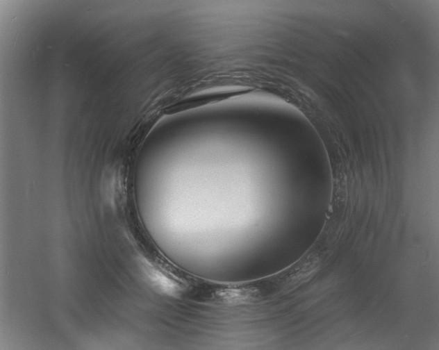 X0000060770558200511101217