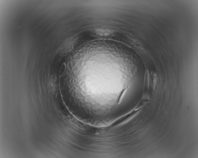 X0000060770559200511101217