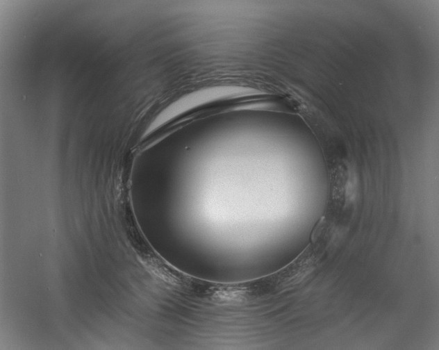 X0000060770560200511101217