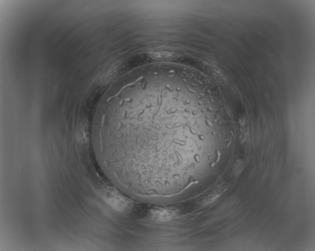 X0000060770561200511101217