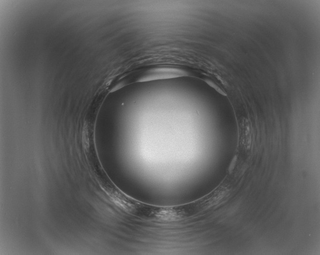 X0000060770562200511101217