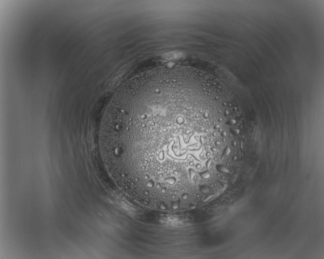 X0000060770565200511101217