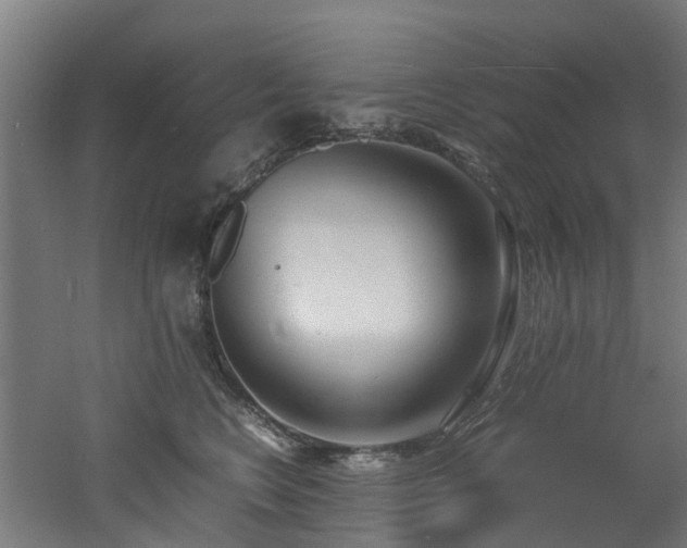 X0000060770566200511101217