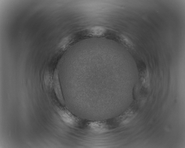 X0000060770568200511101217