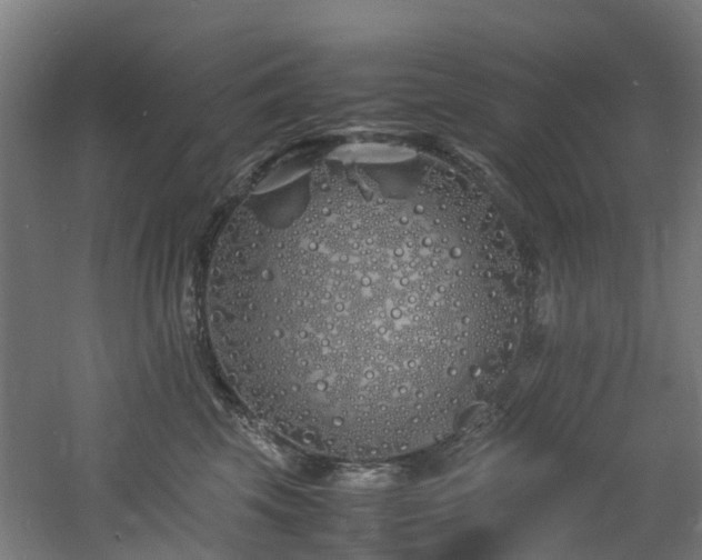 X0000060770569200511101217