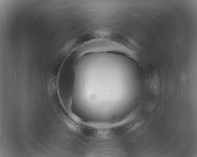 X0000060770570200511101217