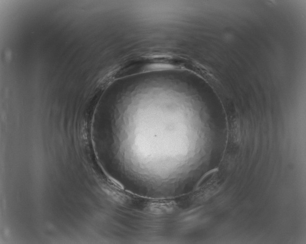 X0000060770571200511101217