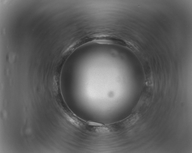 X0000060770572200511101217