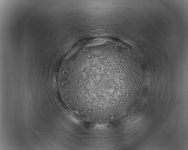 X0000060770573200511101217