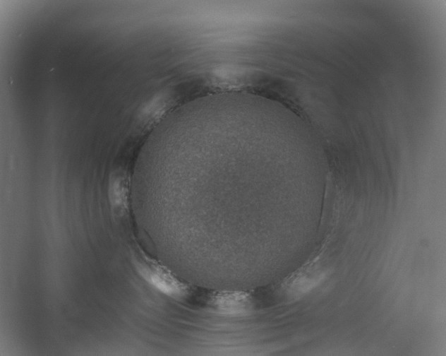 X0000060770576200511101217