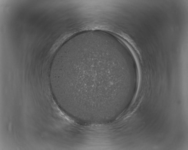 X0000060770577200511101216