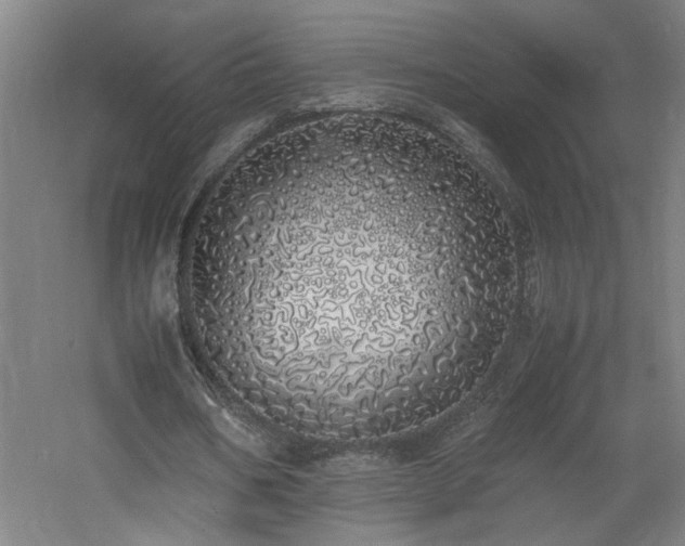 X0000060770578200511101216