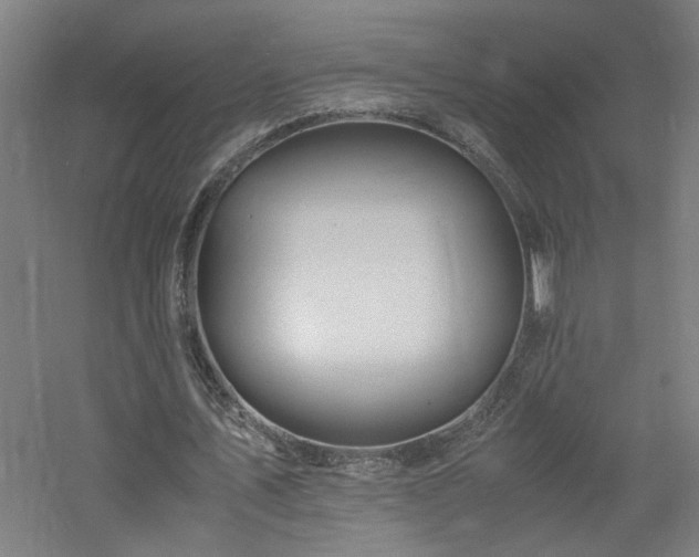 X0000060770579200511101216