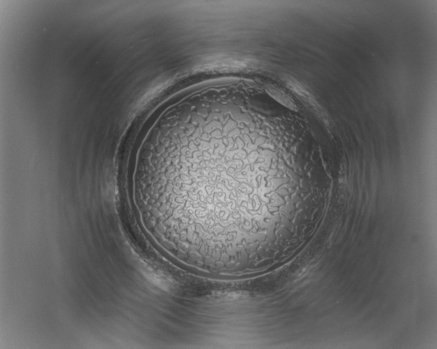 X0000060770582200511101216