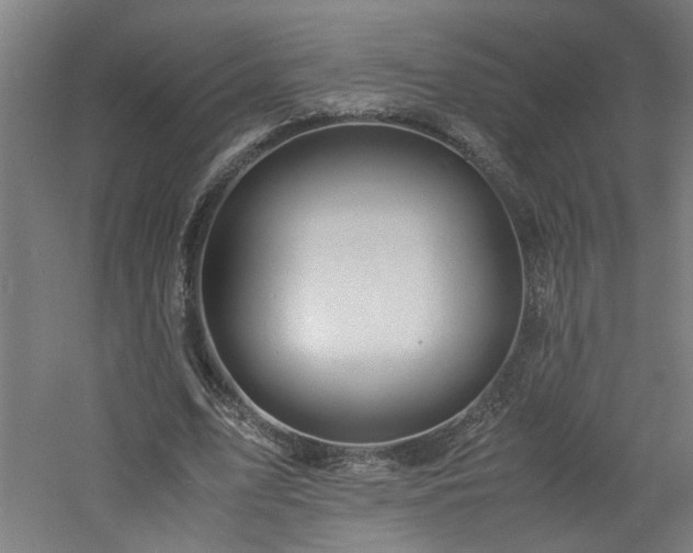 X0000060770583200511101216