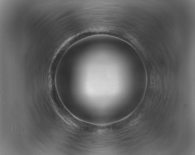 X0000060770584200511101216