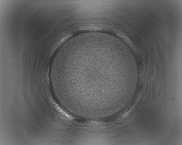 X0000060770585200511101216