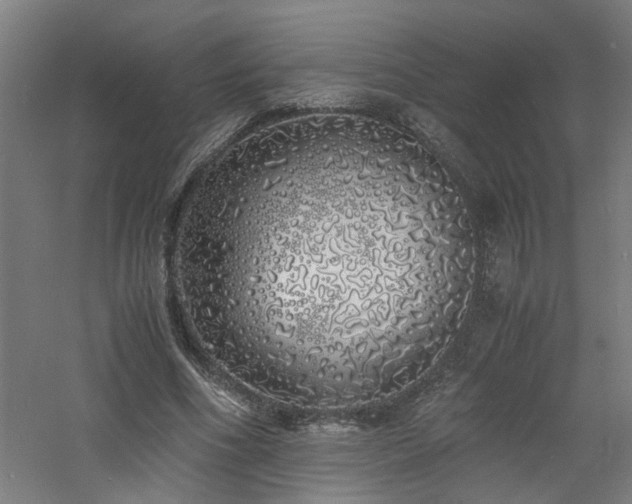 X0000060770586200511101216