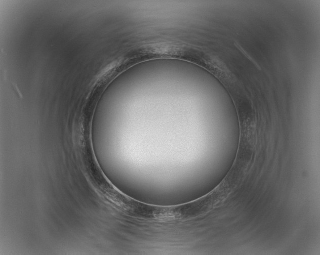 X0000060770587200511101216