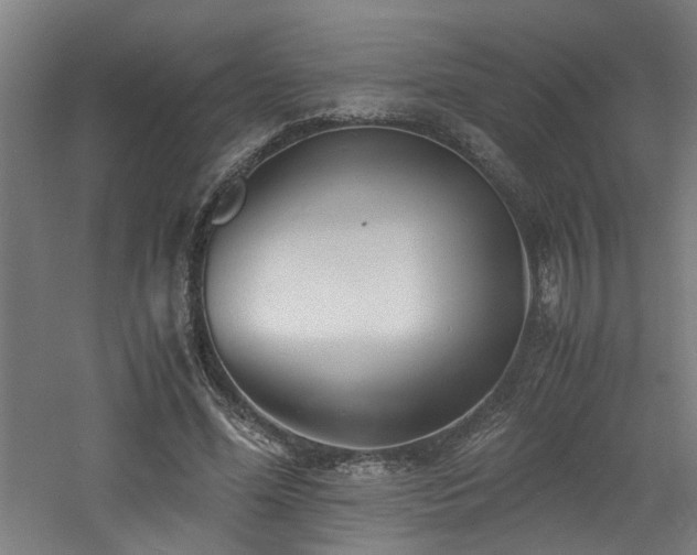 X0000060770588200511101216