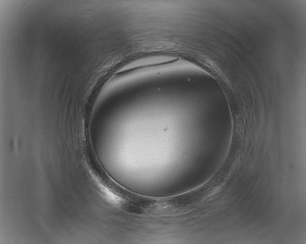 X0000060770589200511101216