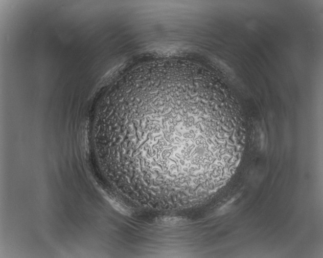 X0000060770590200511101216