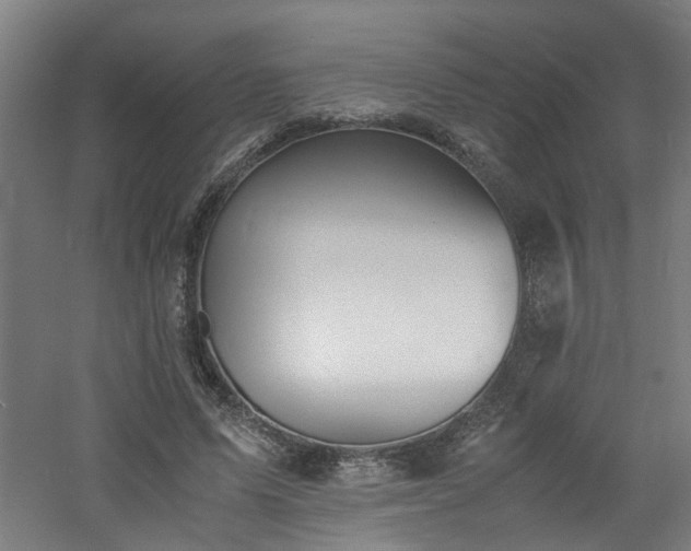 X0000060770591200511101216