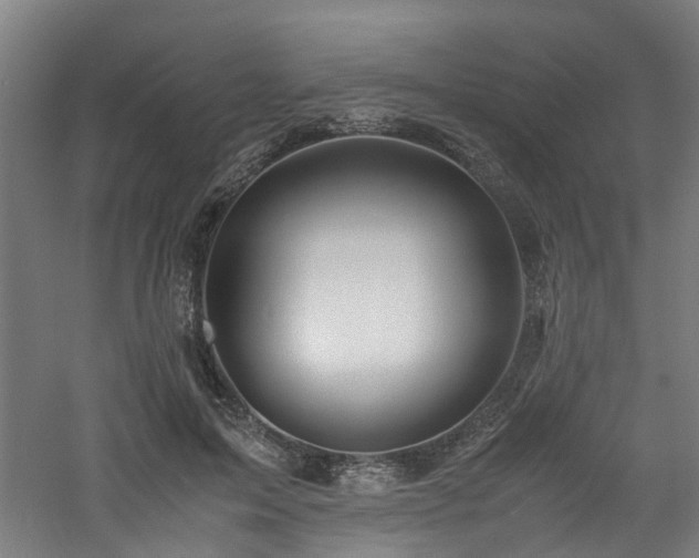 X0000060770599200511101216