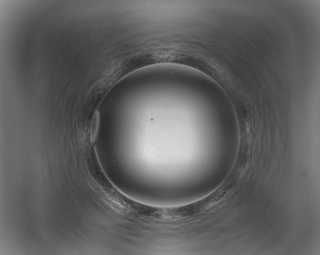 X0000060770601200511101216