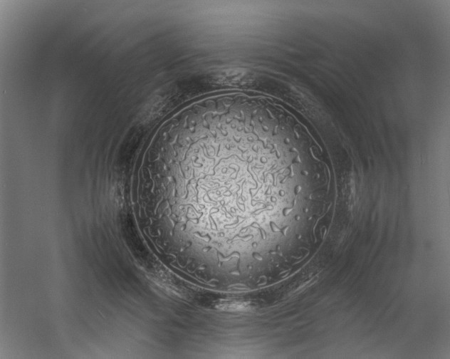 X0000060770602200511101216