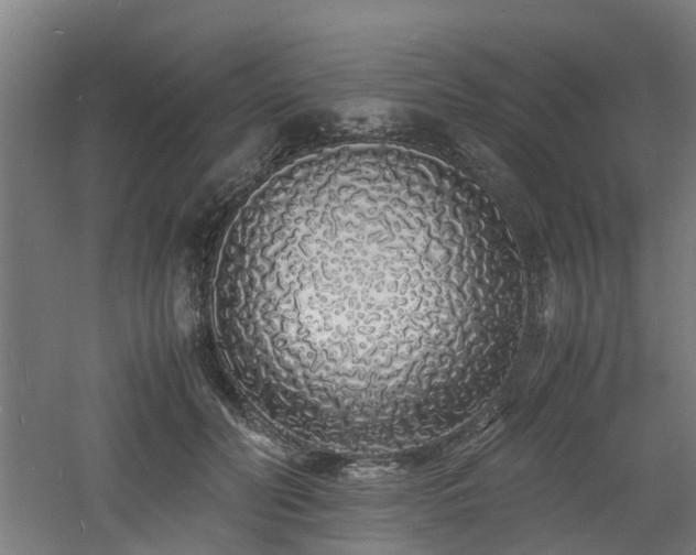 X0000060770606200511101216