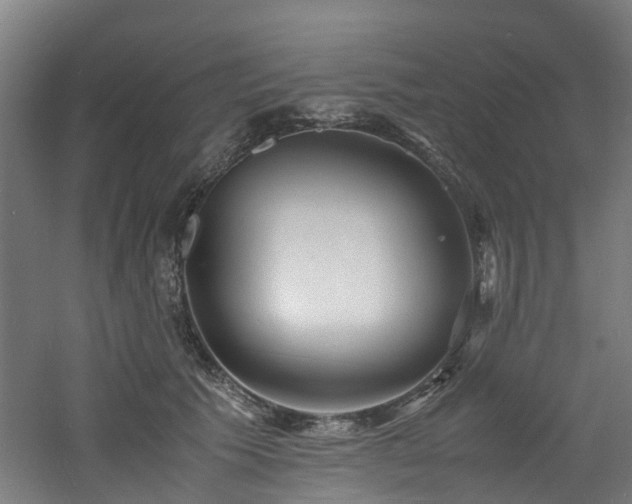 X0000060770609200511101216