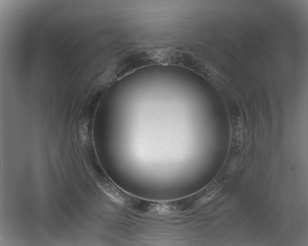 X0000060770611200511101216