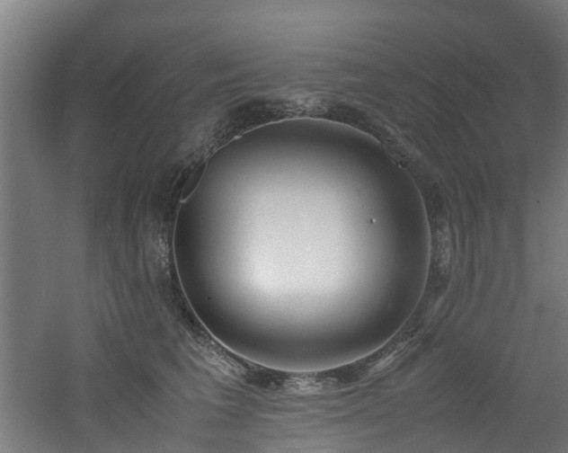 X0000060770613200511101216