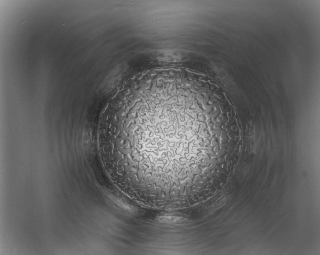 X0000060770614200511101216