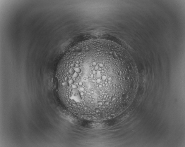 X0000060770615200511101216