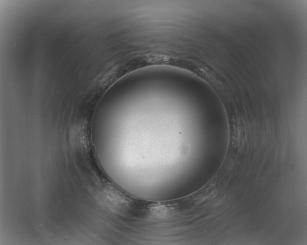 X0000060770616200511101216